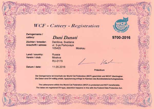 wcf danidanati